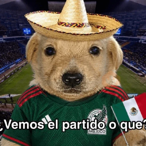 y si sí méxico 😎 memes sticker 17