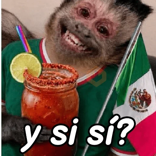 y si sí méxico 😎 memes sticker 14