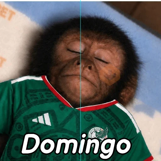 y si sí méxico 😎 memes sticker 11