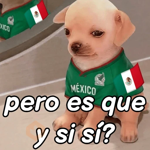 y si sí méxico 😎 memes sticker 12