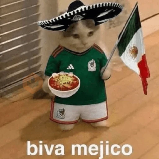y si sí méxico 😎 memes sticker 20