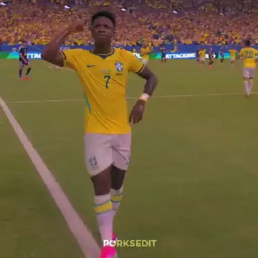 Brasil 🇧🇷⚽️ sticker 11