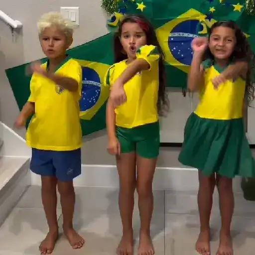 Brasil 🇧🇷⚽️ sticker 13