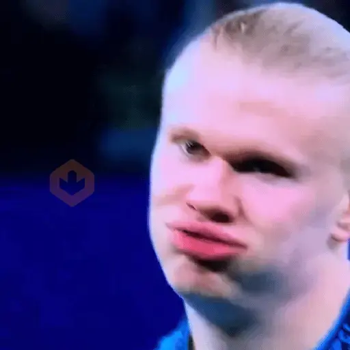 Haaland Memes sticker 20