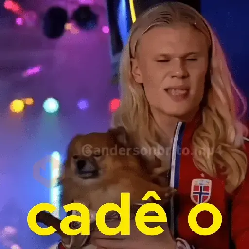 Haaland Memes sticker 19