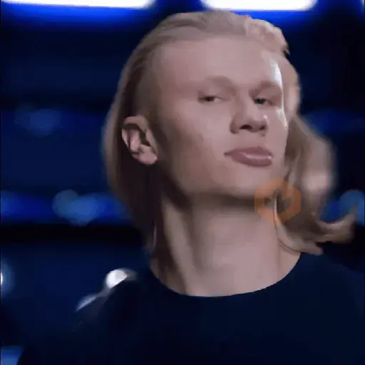 Haaland Memes sticker 17