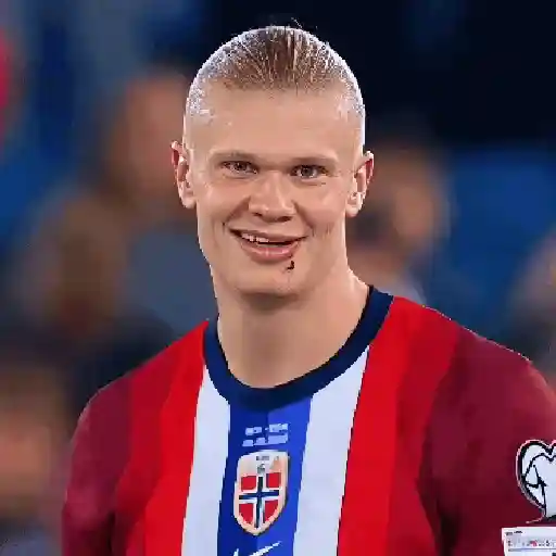 erling haaland sticker 13