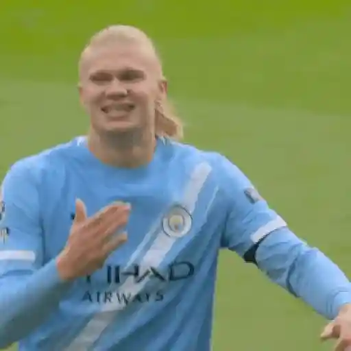 erling haaland sticker 11