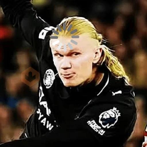Memes Haaland sticker 20