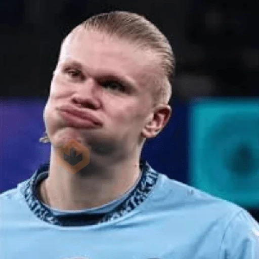Memes Haaland sticker 24