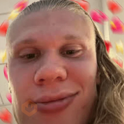 Memes Haaland sticker 12