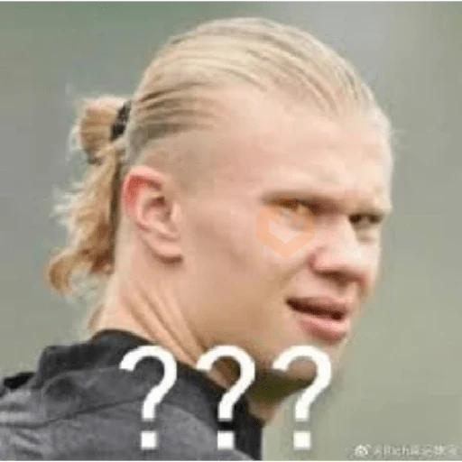 Memes Haaland sticker 14