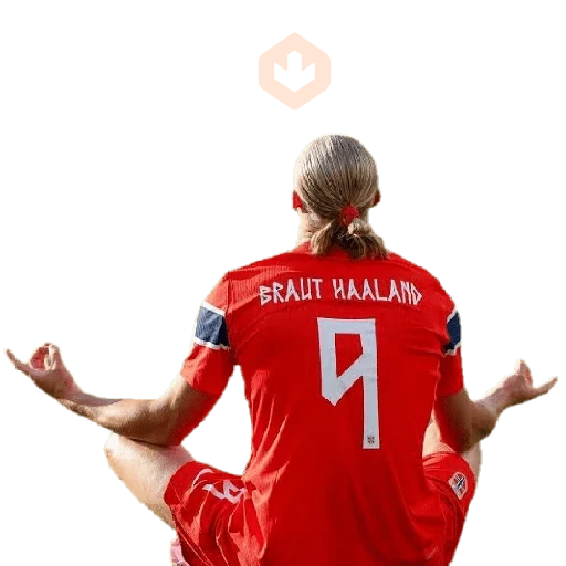 Memes Haaland sticker 23