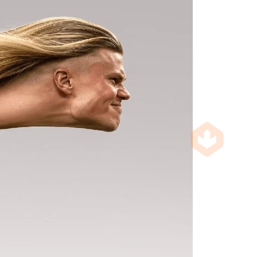 Memes Haaland sticker 30
