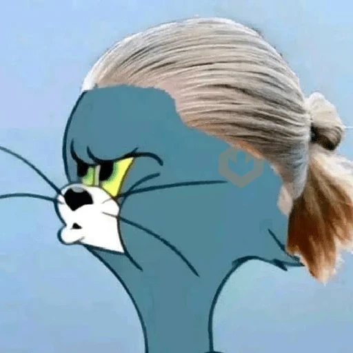 Memes Haaland sticker 11