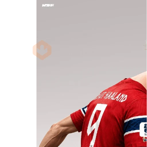 Memes Haaland sticker 28