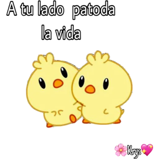 💗Patitos🦆