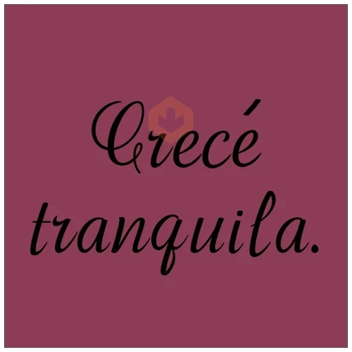 Texto Brat de Ánimo💬💪🏻 sticker 13