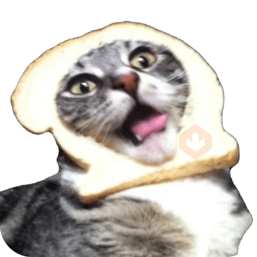 Michi Pan Gato rebanada 🍞 XDXD sticker 17