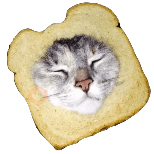 Michi Pan Gato rebanada 🍞 XDXD sticker 16