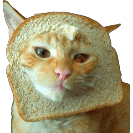 Michi Pan Gato rebanada 🍞 XDXD sticker 14