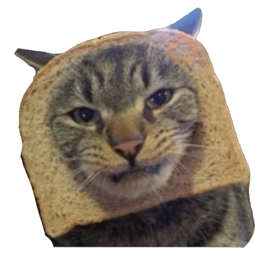 Michi Pan Gato rebanada 🍞 XDXD sticker 15