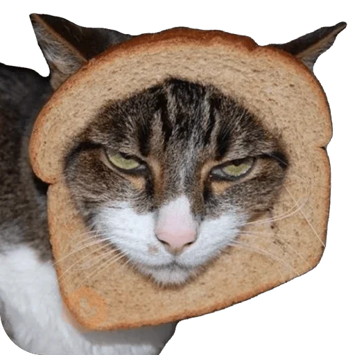 Michi Pan Gato rebanada 🍞 XDXD sticker 12
