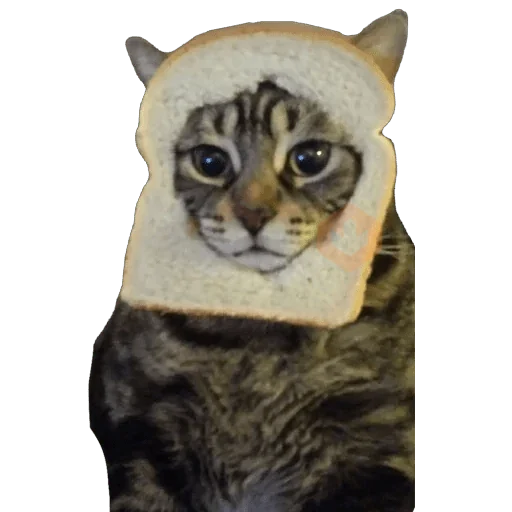 Michi Pan Gato rebanada 🍞 XDXD sticker 11