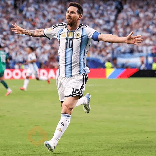 Lionel Messi ⚽️✨️ Argentina 🇦🇷 sticker 12