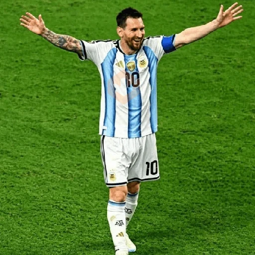 Messi 🇦🇷 Memes egypt ⚽🥅 sticker 13