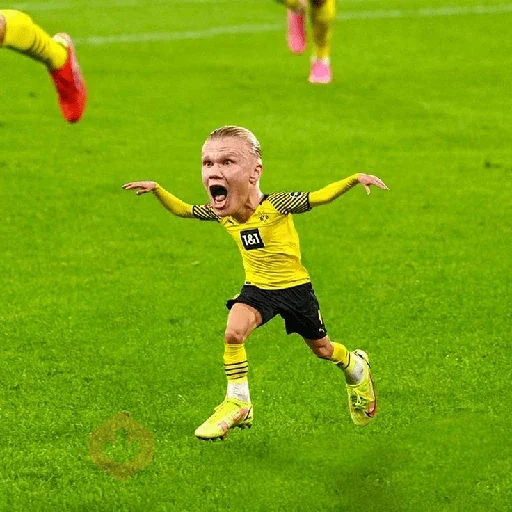 Haaland world cup 2026 sticker 12