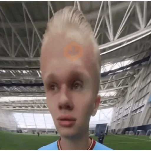 Haaland world cup 2026 sticker 13