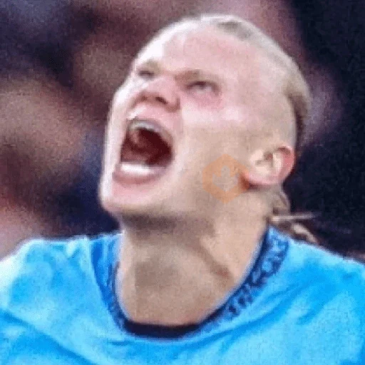 Haaland world cup 2026 sticker 14