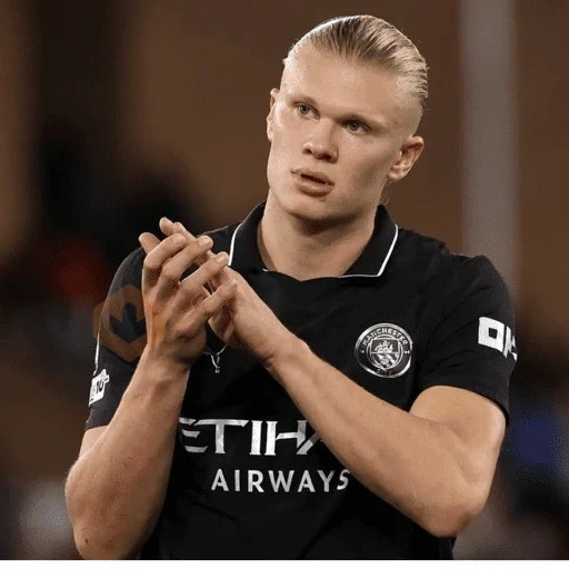 Erling Haaland ⚔️⚽️ sticker 22