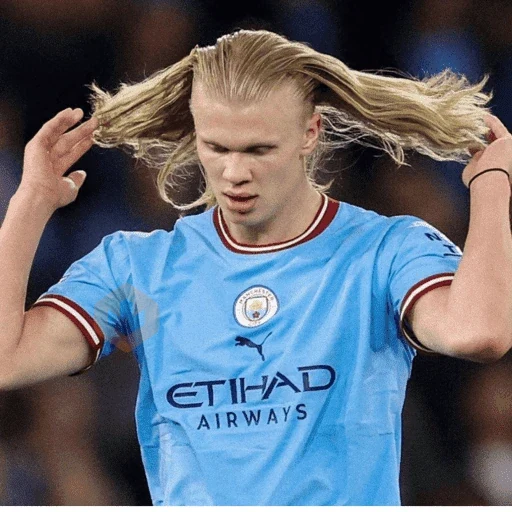 Erling Haaland ⚔️⚽️ sticker 16