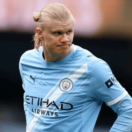 Erling Haaland ⚔️⚽️ sticker 18