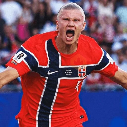 Erling Haaland ⚔️⚽️ sticker 14