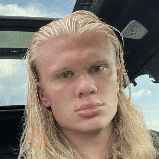Erling Haaland ⚔️⚽️ sticker 12