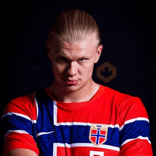 Erling Haaland ⚔️⚽️ sticker 11
