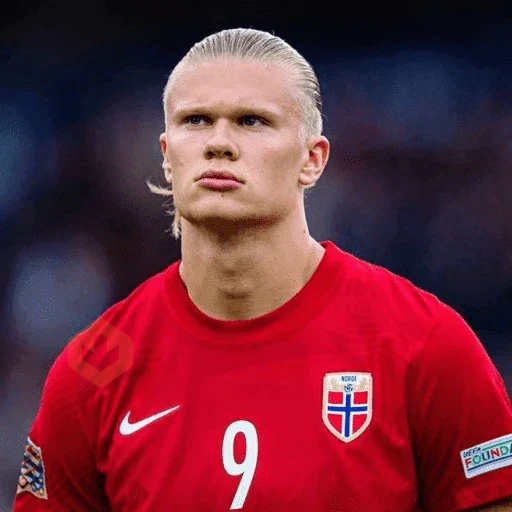 Erling Haaland ⚔️⚽️ sticker 19