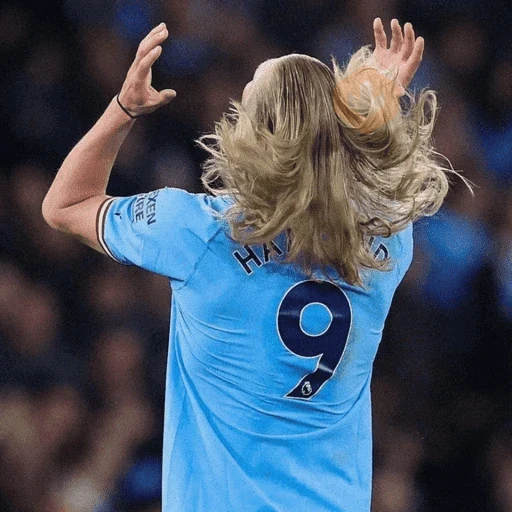 Erling Haaland ⚔️⚽️ sticker 15