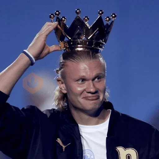 Erling Haaland ⚔️⚽️ sticker 20