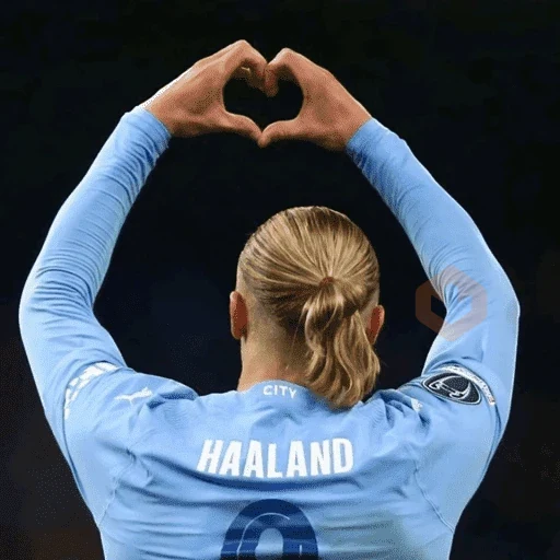 Erling Haaland ⚔️⚽️ sticker 30