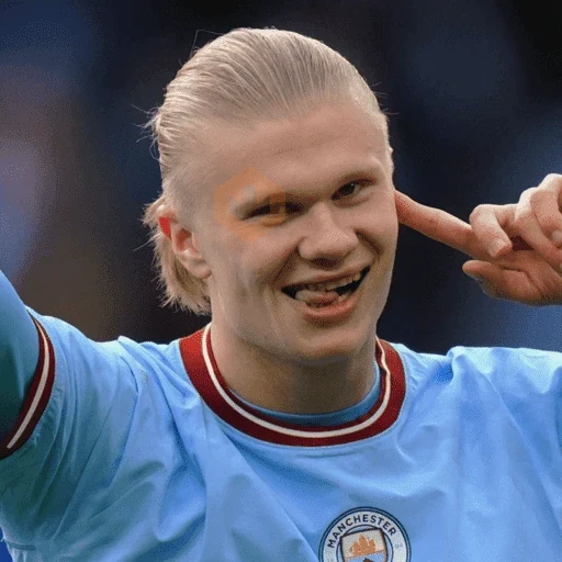 Erling Haaland ⚔️⚽️ sticker 26
