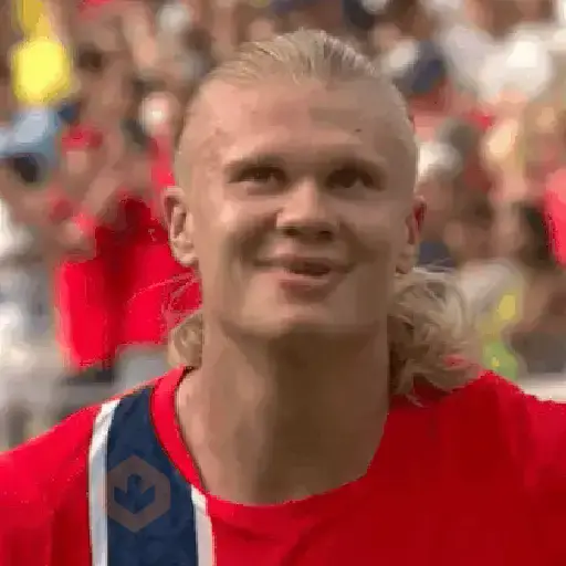 Haaland 🇳🇴 sticker 12