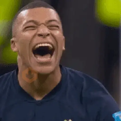 MBAPPÉ SENDO MBAPPÉ 🙋🏾‍♂️⚽ sticker 16