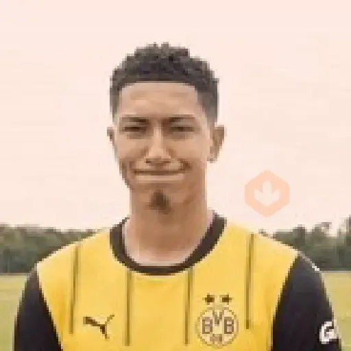 Jude Bellingham 🏴󠁧󠁢󠁥󠁮󠁧󠁿⚽✨ sticker 17