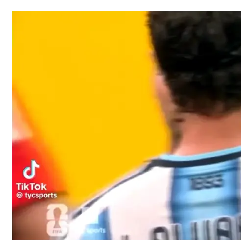 Argentina 🇦🇷⚽ Messi sticker 12