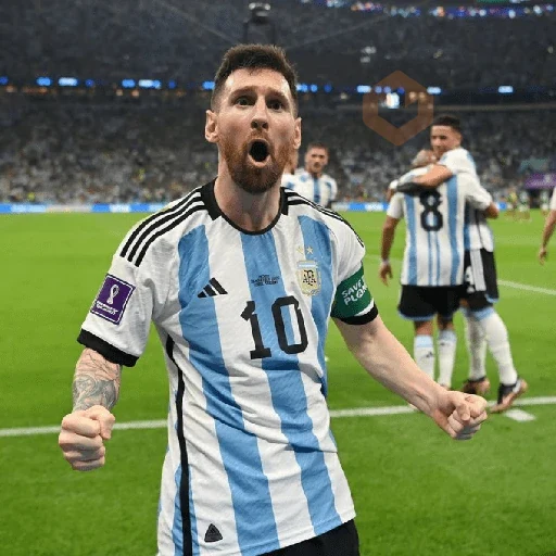 MESSI GOAT🐐👑🇦🇷 sticker 15