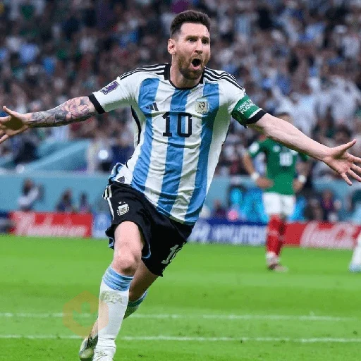 MESSI GOAT🐐👑🇦🇷 sticker 12